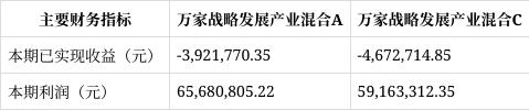 第一配资门户 万家战略发展产业混合季报解读：份额大增超99亿份，收益反差近125%